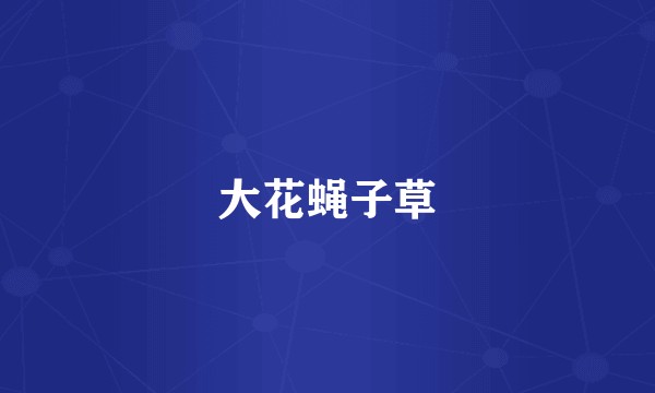大花蝇子草