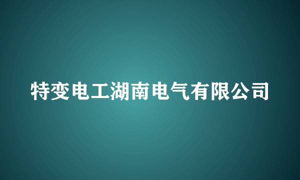 特变电工湖南电气有限公司