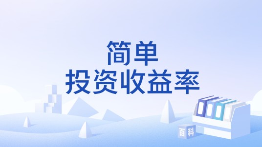 简单投资收益率
