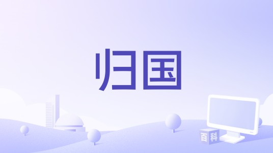 归国（1928年Joe May执导的电影）