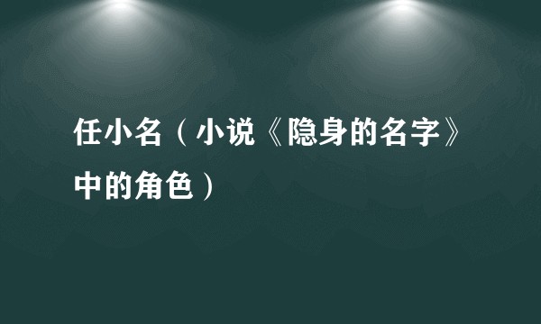 任小名（小说《隐身的名字》中的角色）