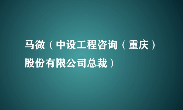 马微（中设工程咨询（重庆）股份有限公司总裁）