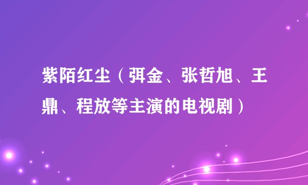 紫陌红尘（弭金、张哲旭、王鼎、程放等主演的电视剧）