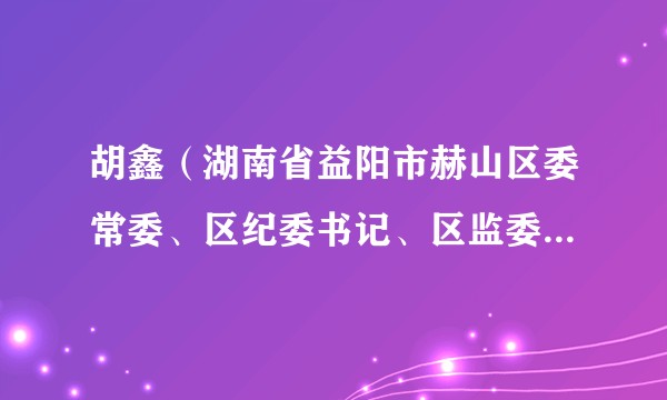 胡鑫（湖南省益阳市赫山区委常委、区纪委书记、区监委主任、四级高级监察官）