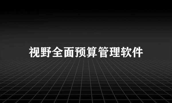 视野全面预算管理软件
