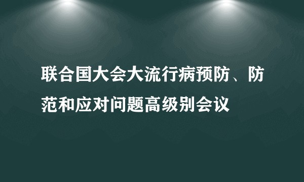 联合国大会大流行病预防、防范和应对问题高级别会议