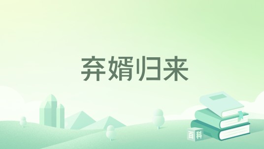 弃婿归来（书生出村所著小说）