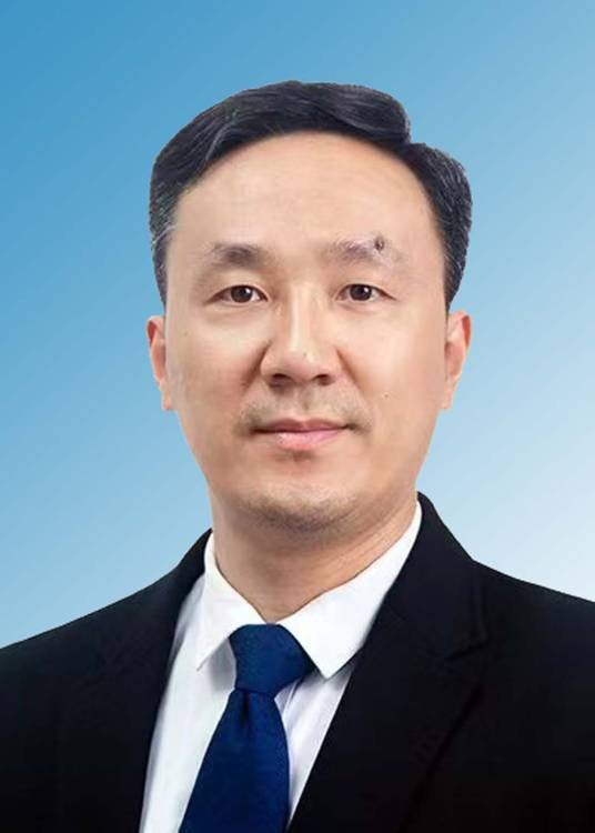 司维（河南省商丘市宁陵县委常委、县纪委书记、县监委主任）