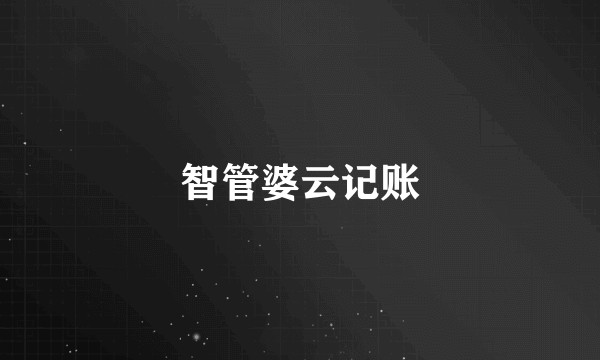 智管婆云记账