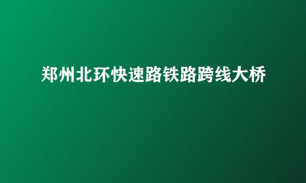 郑州北环快速路铁路跨线大桥