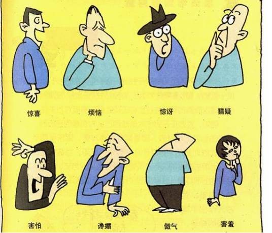 身体语言定律