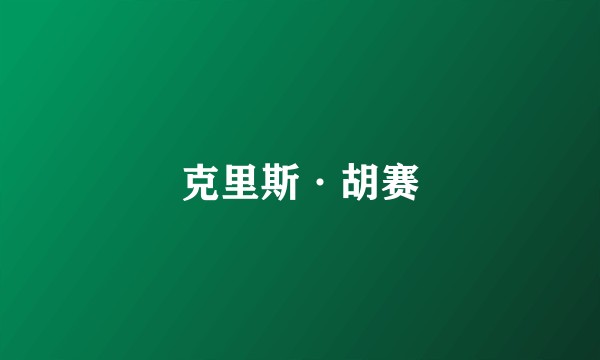 克里斯·胡赛
