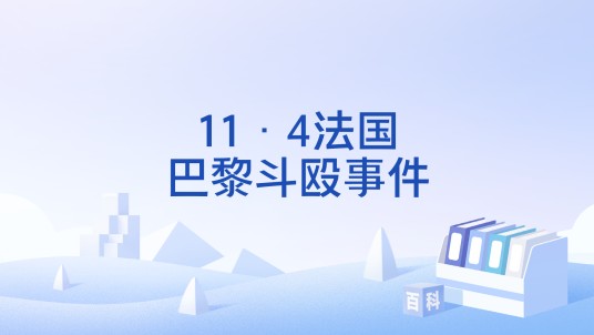 11·4法国巴黎斗殴事件