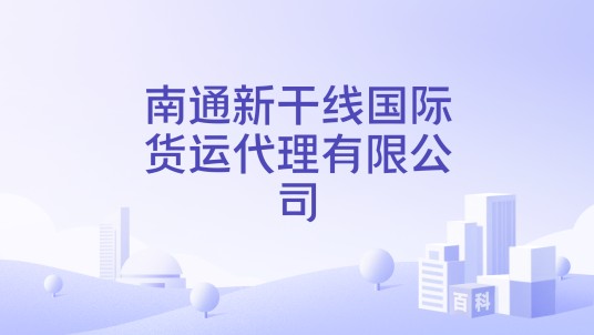 南通新干线国际货运代理有限公司