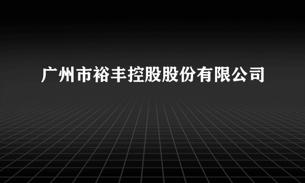 广州市裕丰控股股份有限公司