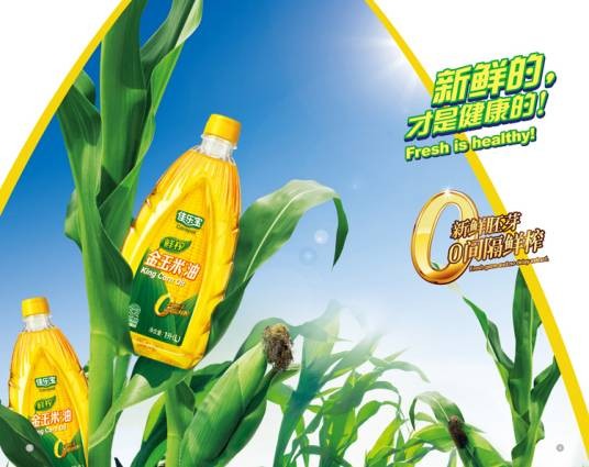 玉米榨油
