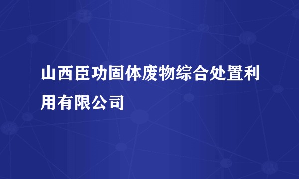 山西臣功固体废物综合处置利用有限公司