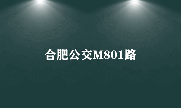 合肥公交M801路