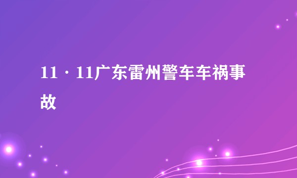 11·11广东雷州警车车祸事故