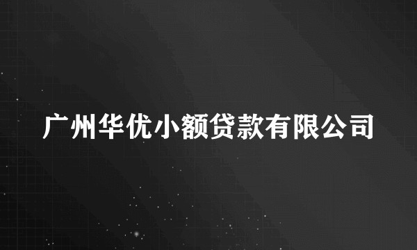 广州华优小额贷款有限公司