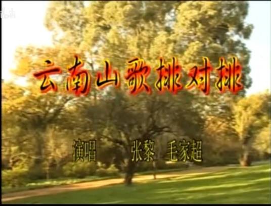 云南山歌排对排