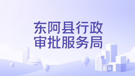 东阿县行政审批服务局