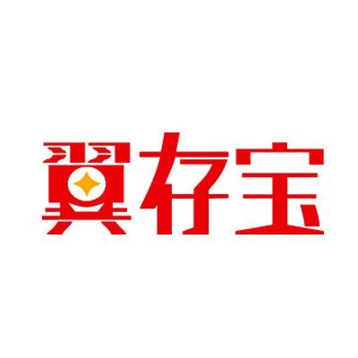 翼存宝