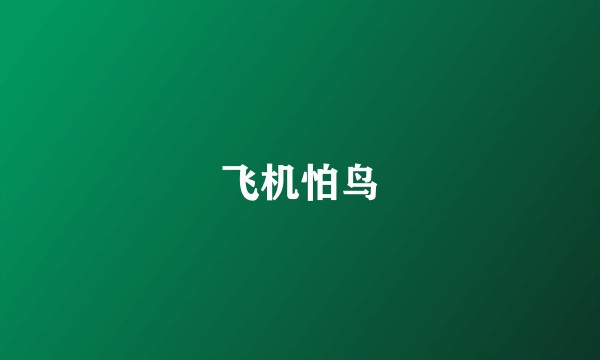 飞机怕鸟