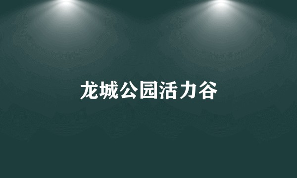 龙城公园活力谷