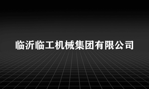 临沂临工机械集团有限公司