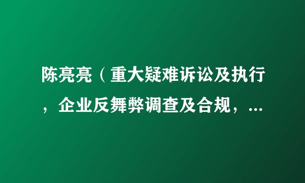 陈亮亮（重大疑难诉讼及执行，企业反舞弊调查及合规，刑事辩护领域律师。）