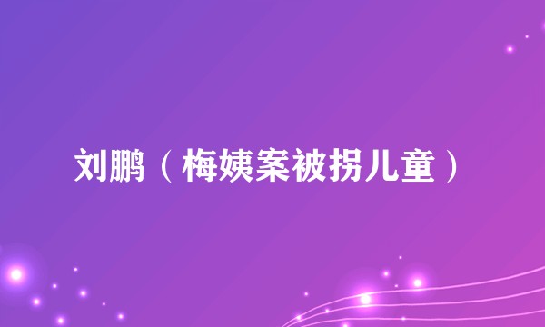 刘鹏（梅姨案被拐儿童）