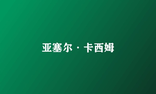 亚塞尔·卡西姆