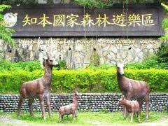 知本森林游乐园