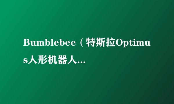 Bumblebee（特斯拉Optimus人形机器人的第一代原型机）
