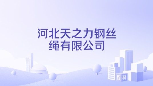 河北天之力钢丝绳有限公司