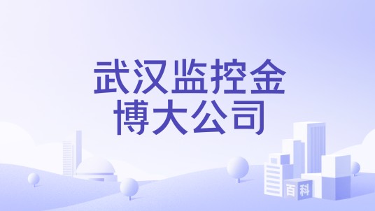 武汉监控金博大公司