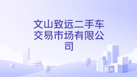 文山致远二手车交易市场有限公司