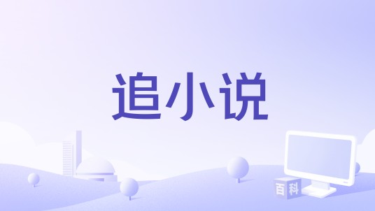 追小说