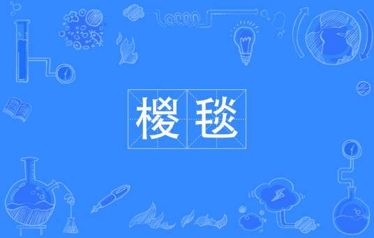 椶毯