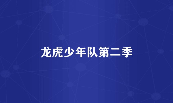 龙虎少年队第二季