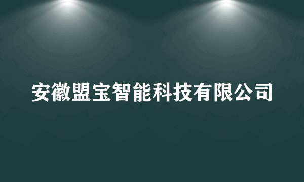 安徽盟宝智能科技有限公司