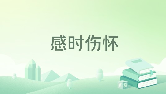 感时伤怀（2018年中国书籍出版社出版的图书）