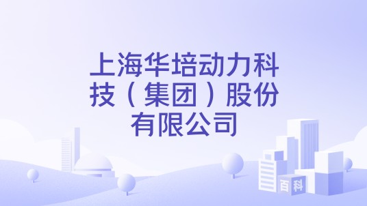 上海华培动力科技（集团）股份有限公司