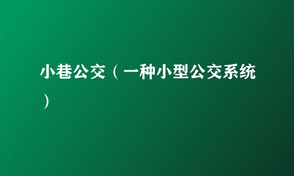 小巷公交（一种小型公交系统）