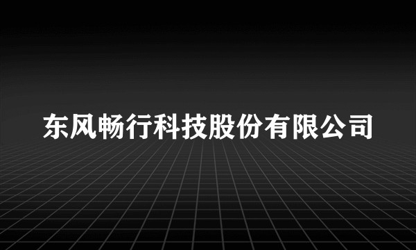 东风畅行科技股份有限公司