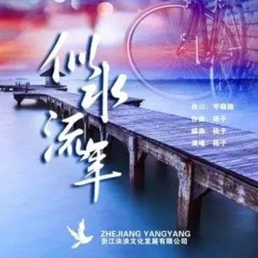 似水流年(杨子演唱的歌曲)