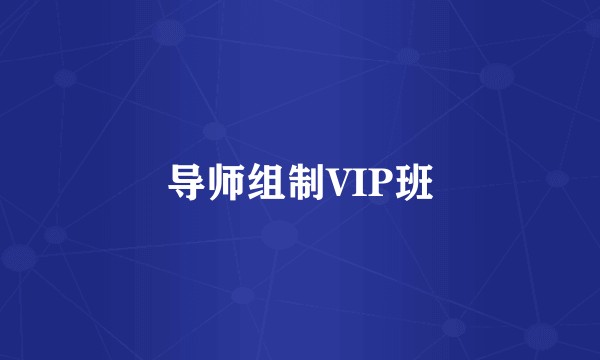 导师组制VIP班