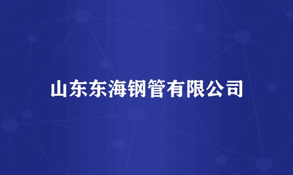 山东东海钢管有限公司