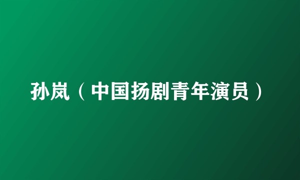 孙岚（中国扬剧青年演员）